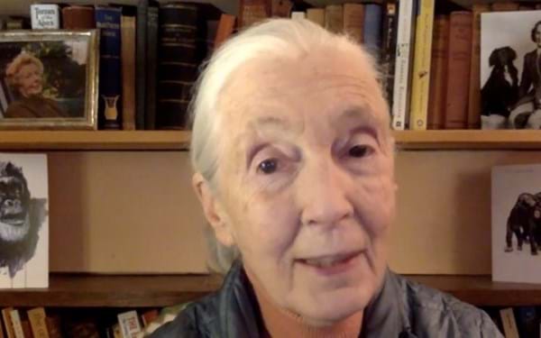 Dame Jane Goodall supports The Save Movement