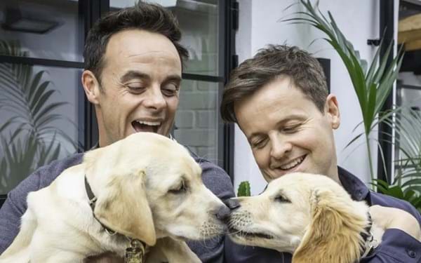 Anthony McPartlin and Declan Donnelly partner with Guide Dogs UK