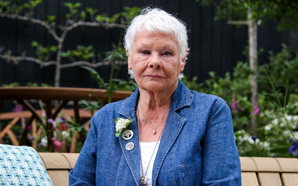Dame Judi Dench partners with Animal Free Research UK